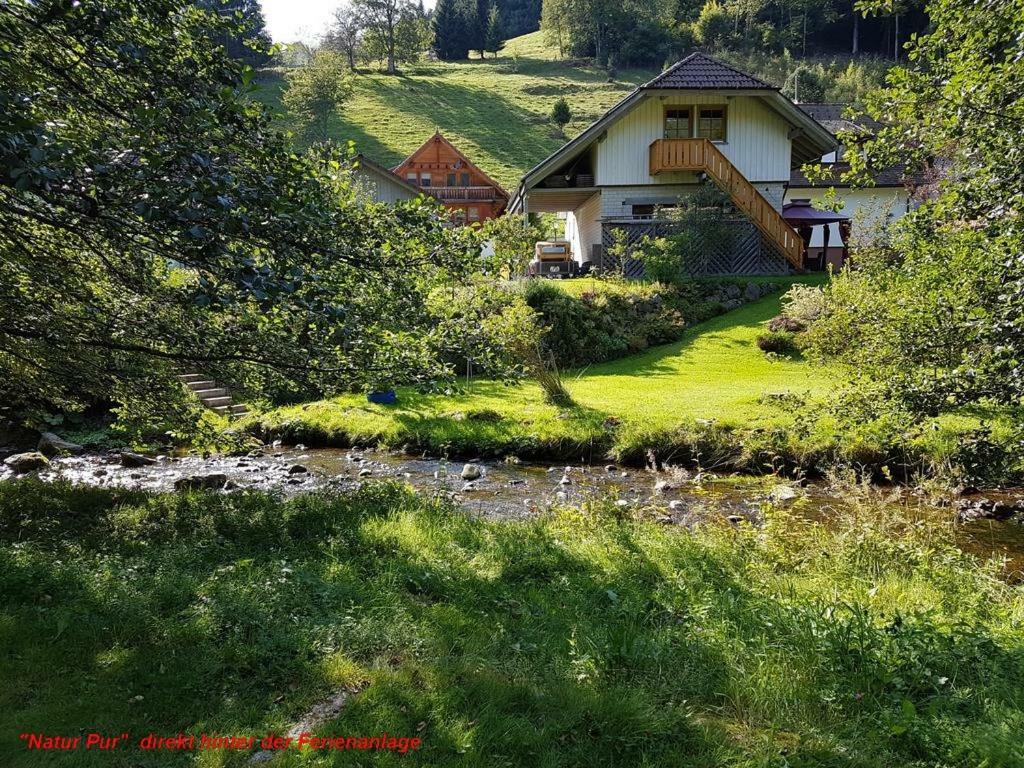 Ferienwohnung Schwarz 托特莫斯 外观 照片