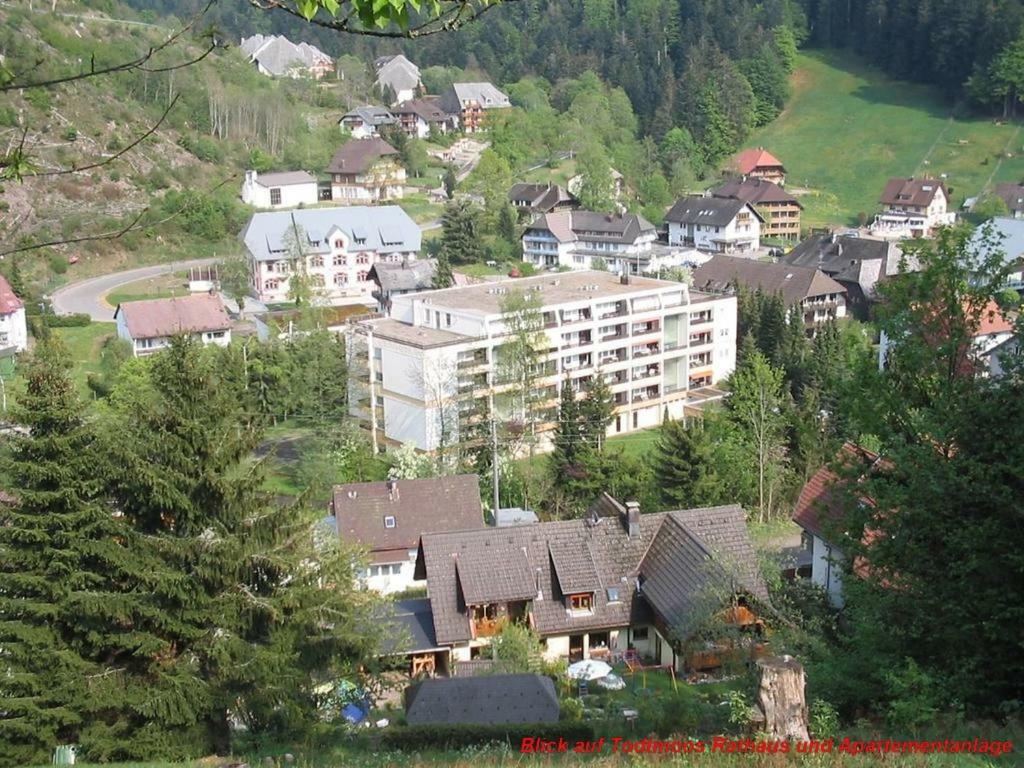 Ferienwohnung Schwarz 托特莫斯 外观 照片